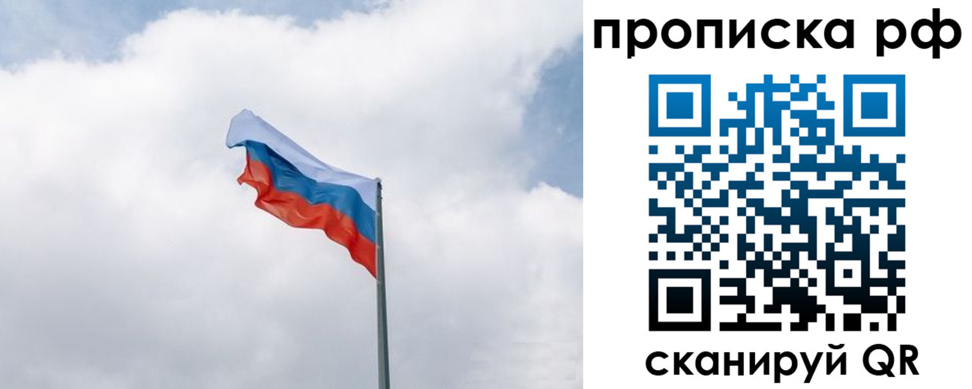 прописка гарантия в Киришах